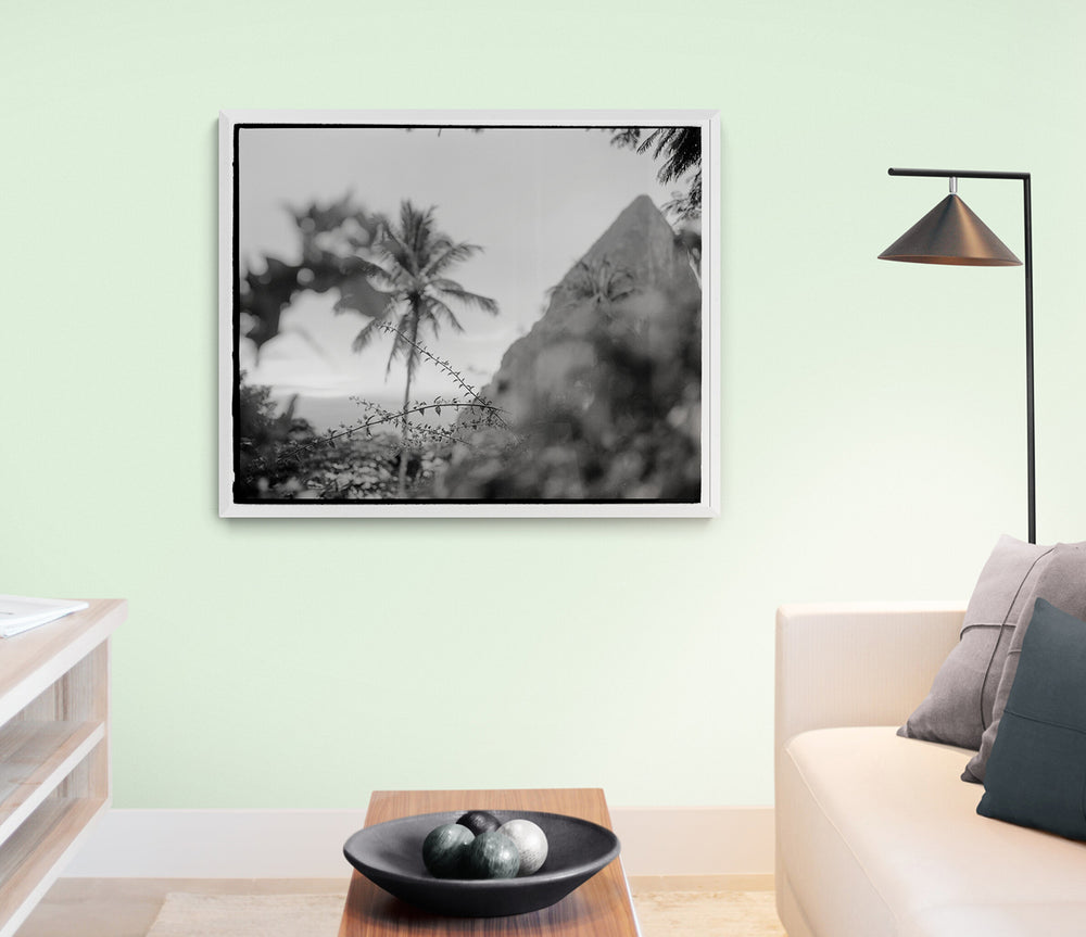 
                  
                    Load image into Gallery viewer, The Piton of Saint Lucia
                  
                