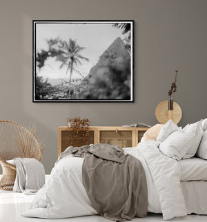 
                  
                    Load image into Gallery viewer, The Piton of Saint Lucia
                  
                
